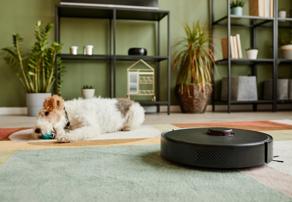 which robot vacuum cleaner is best for home